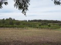 0102-1314 Milfield winery (1060838)